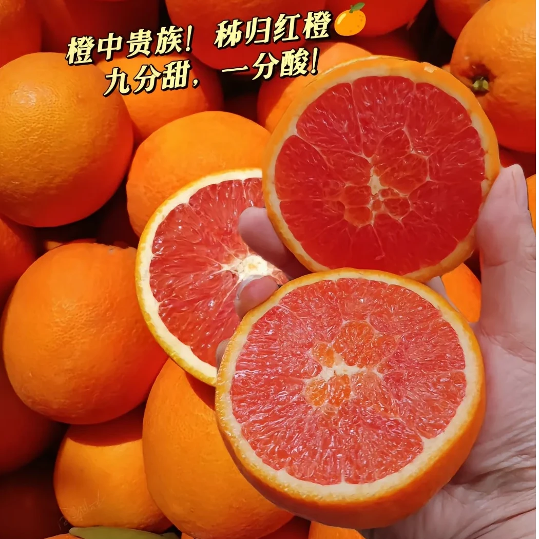 【中华红橙】血橙秭归中华红血橙年货送礼现摘现发新鲜红橙甜大