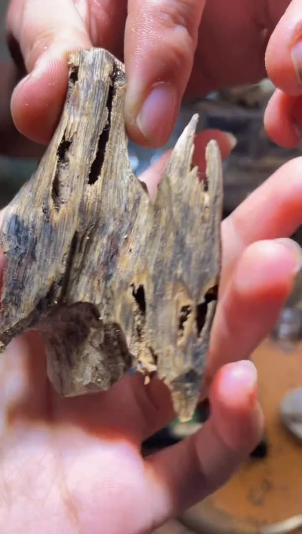 沉香沉香碎屑海南白棋纯虫漏95