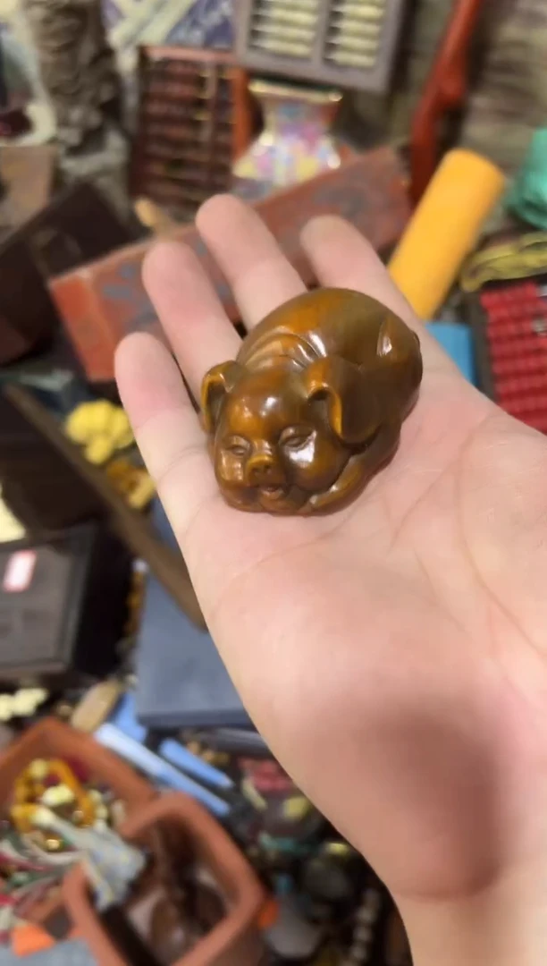 黄杨木11111111111111111111