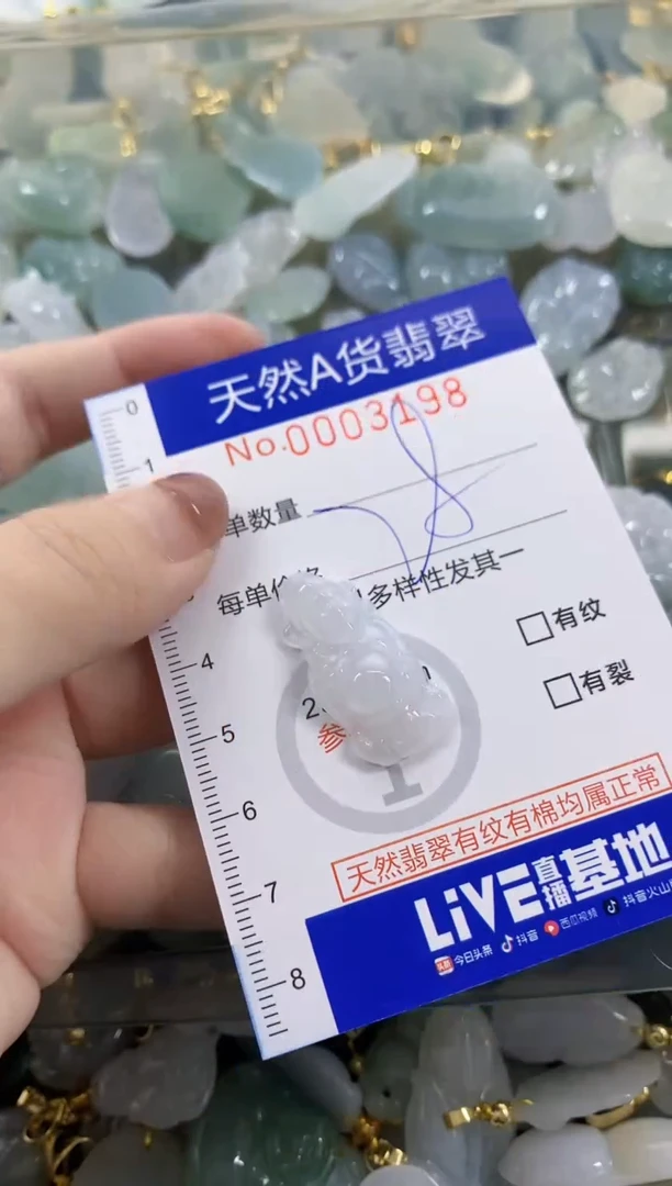 颈饰未镶嵌翡翠天然A货翡翠