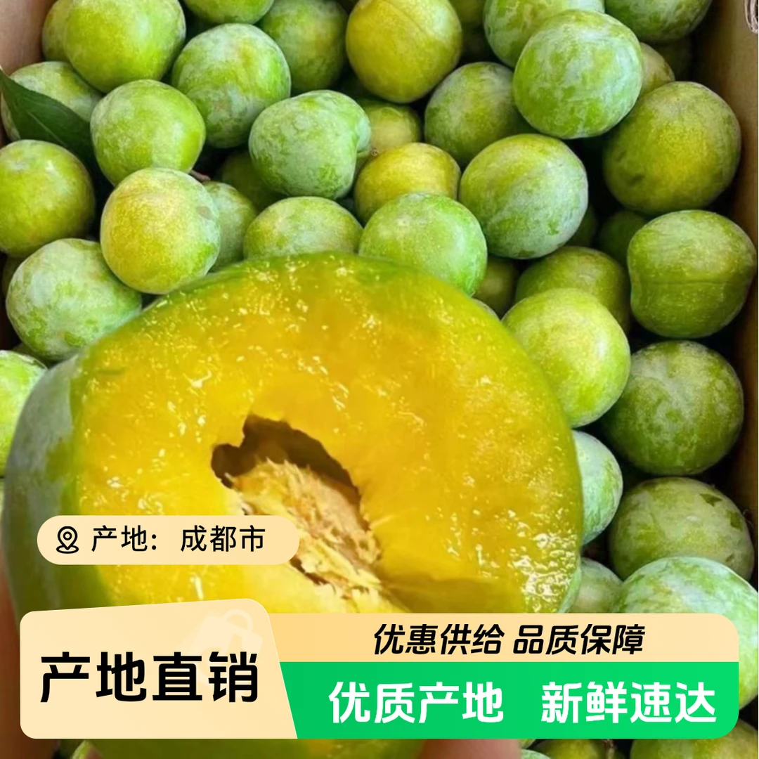 1四川成都 大棚冰糖脱骨李 大果 脆甜 新鲜采摘 现货先发 只发川渝四川省