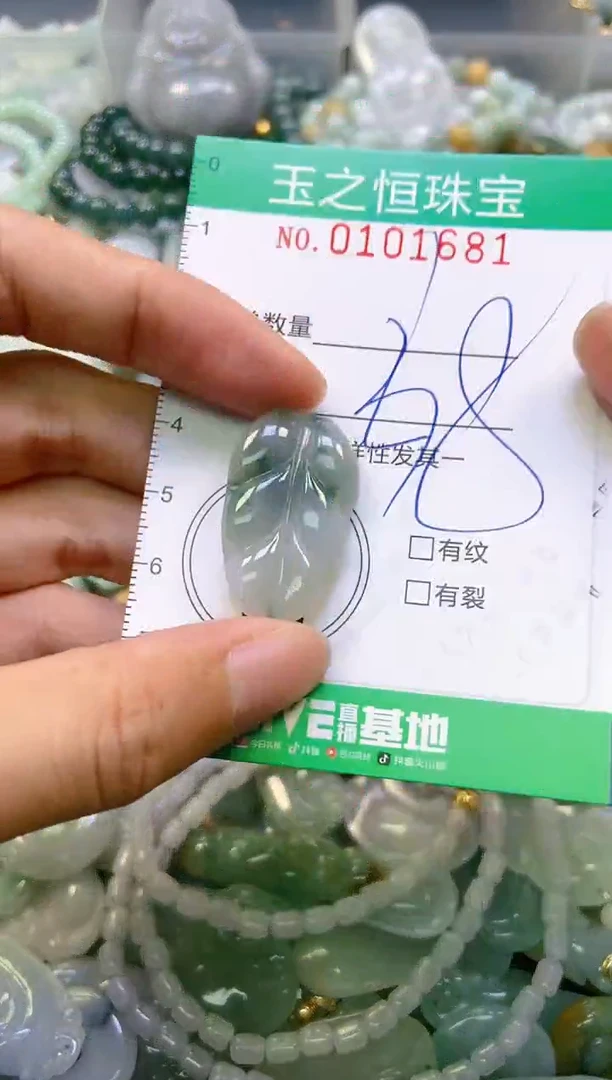 翡翠未镶嵌颈饰闪购0101681