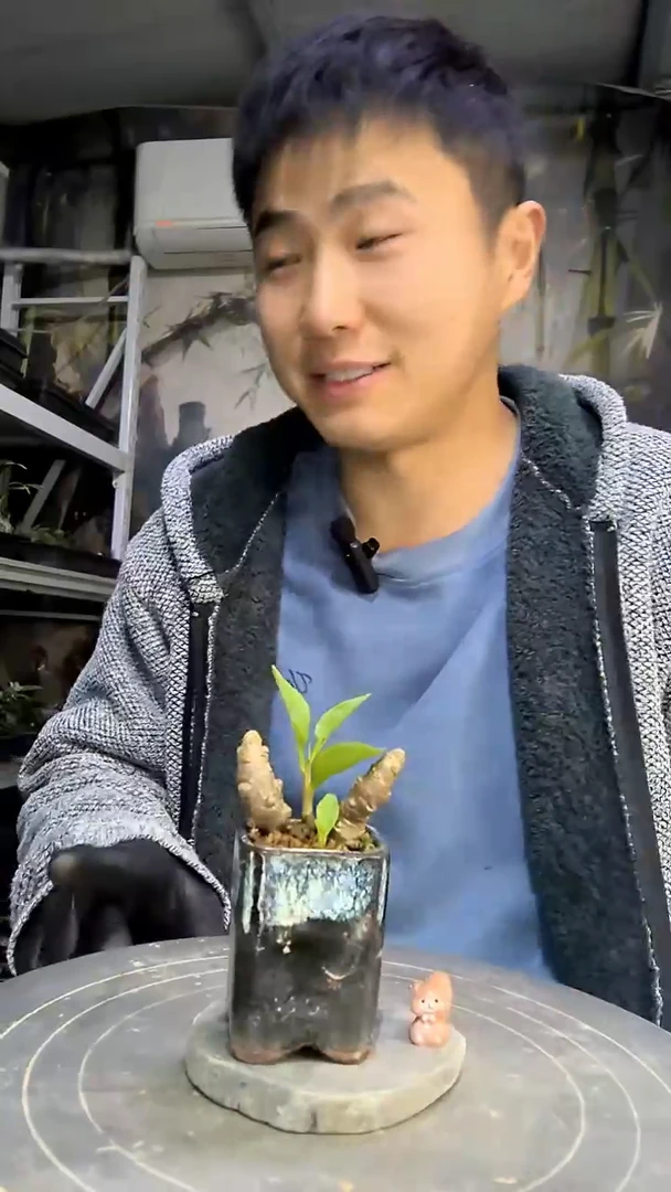 何***装中青园艺一物一拍花299