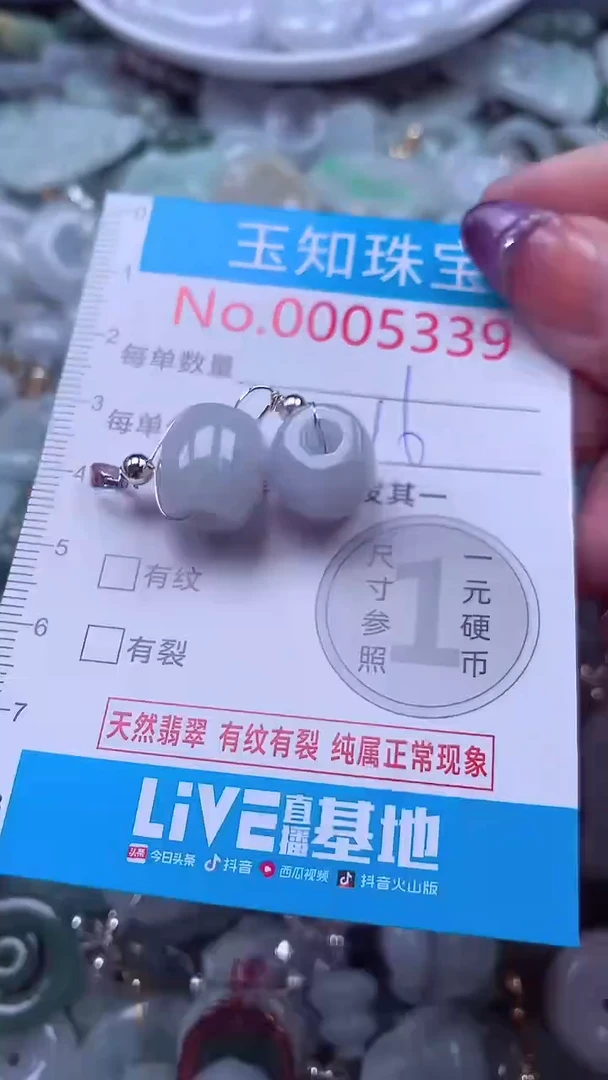 翡翠未镶嵌吊坠(不含链)5339