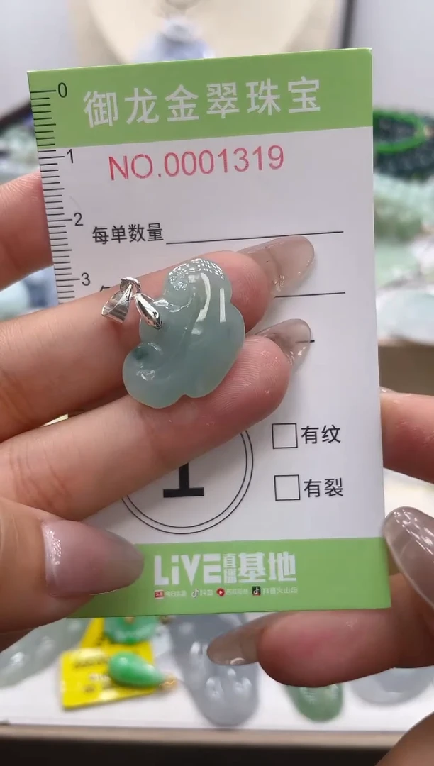 颈饰未镶嵌翡翠028多样性发货