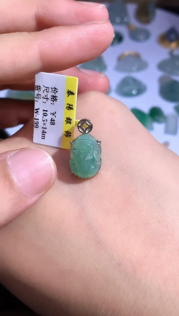 颈饰银S925镶嵌翡翠20250929086