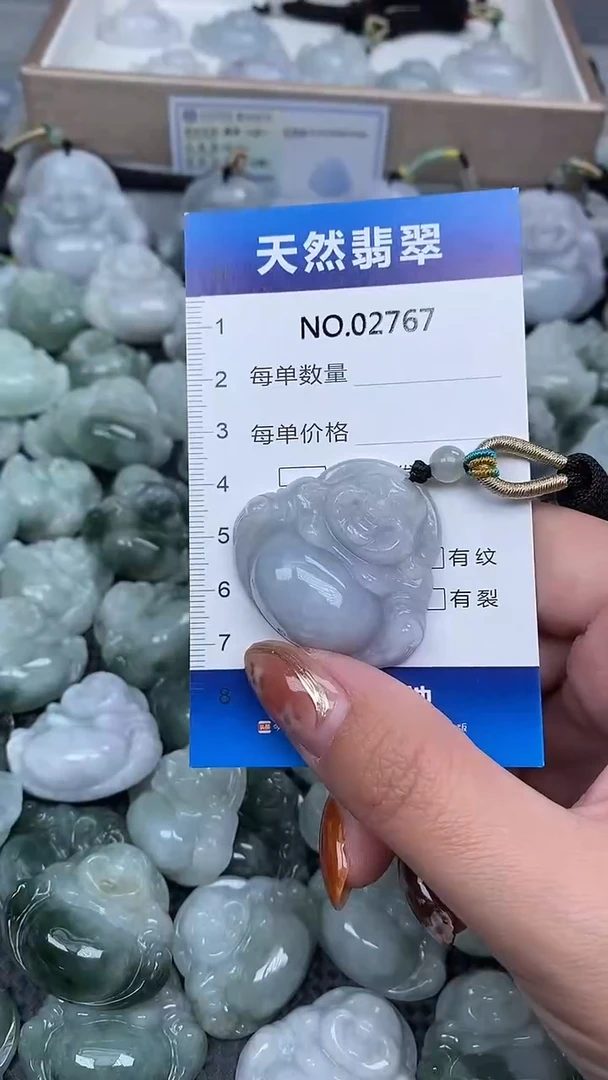 颈饰未镶嵌翡翠纯天然A货翡翠2767