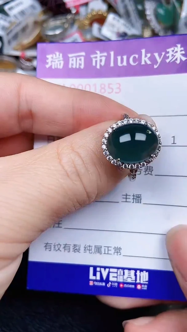 颈饰银S925镶嵌翡翠1853