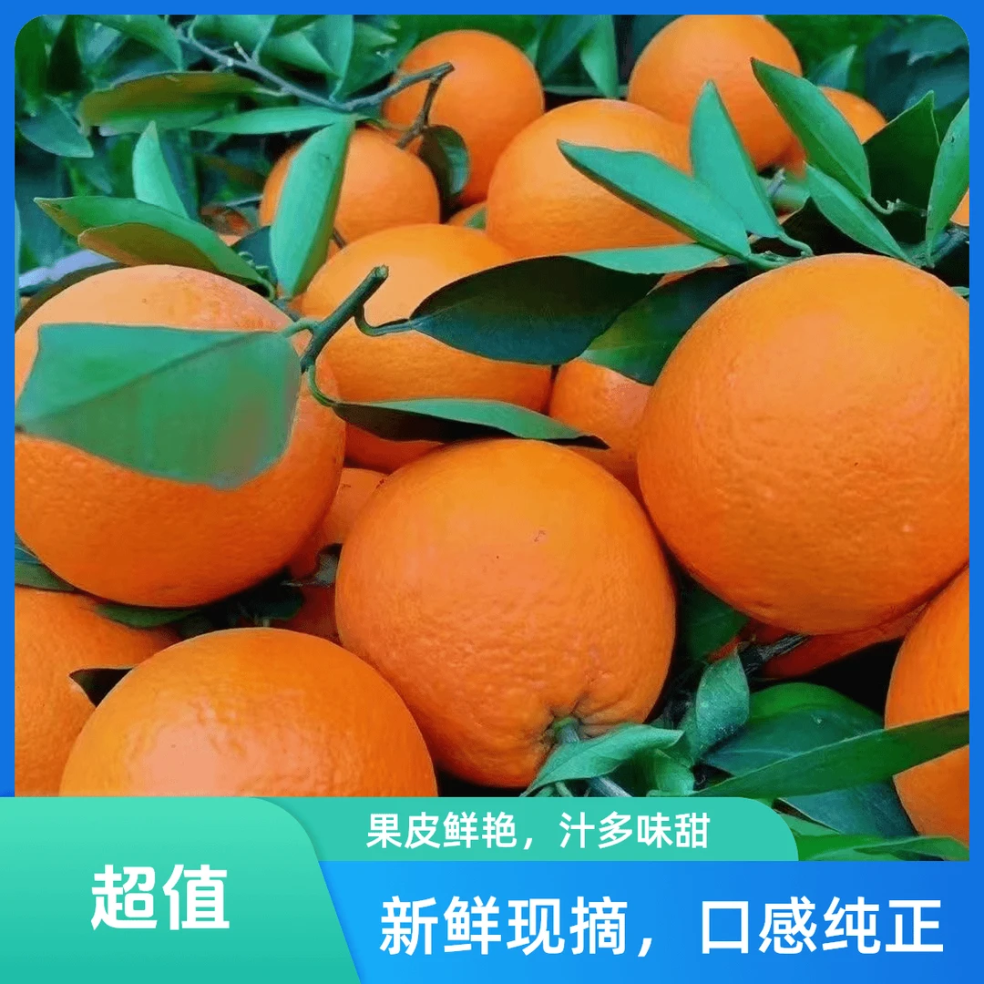 奉节脐橙正宗重庆橙子脆嫩鲜甜新鲜现摘橙味5/10/20斤大果