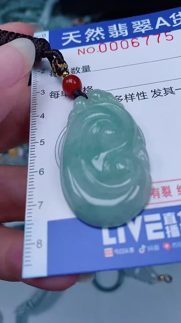翡翠未镶嵌颈饰00006775
