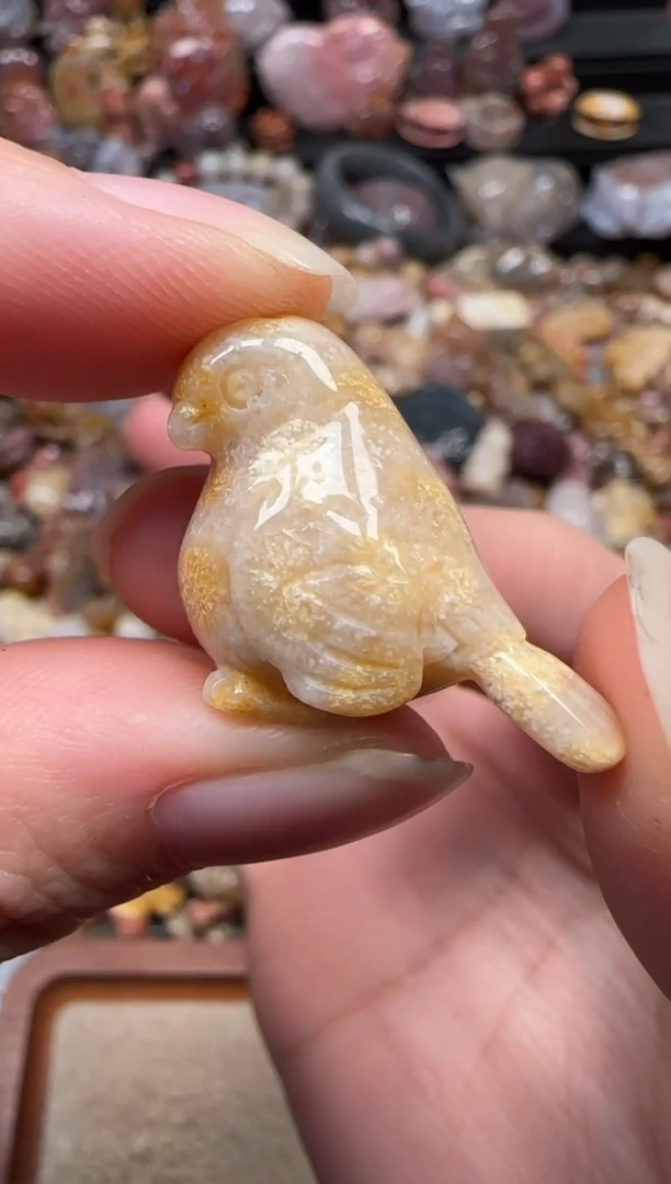 颈饰未镶嵌硅化珊瑚（珊瑚玉）273