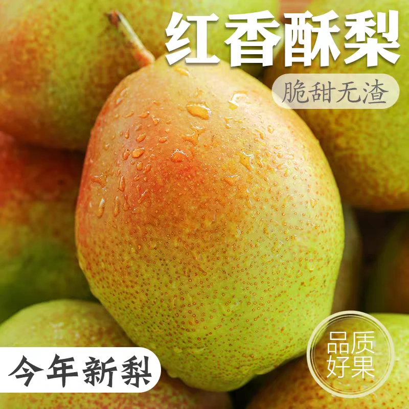 红香酥梨细腻化渣4斤/9.9元陕西省
