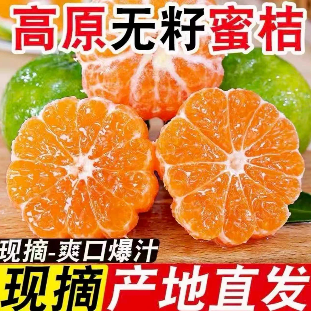 新鲜云南蜜桔5斤家庭装现摘青皮无籽蜜桔酸甜爽口应季水果