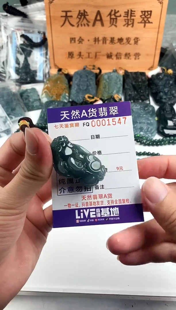 颈饰未镶嵌翡翠  多样性随机一件发货 貔貅38