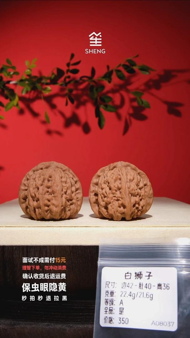 把件文玩核桃42白狮子08037