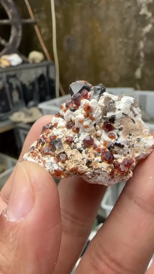 【闪购商品】昌化石印石原石料