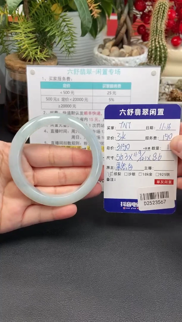 未镶嵌手镯翡翠T*TD2523567