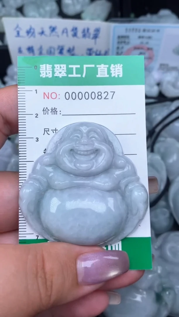 翡翠未镶嵌颈饰缅甸天然A货翡翠0827
