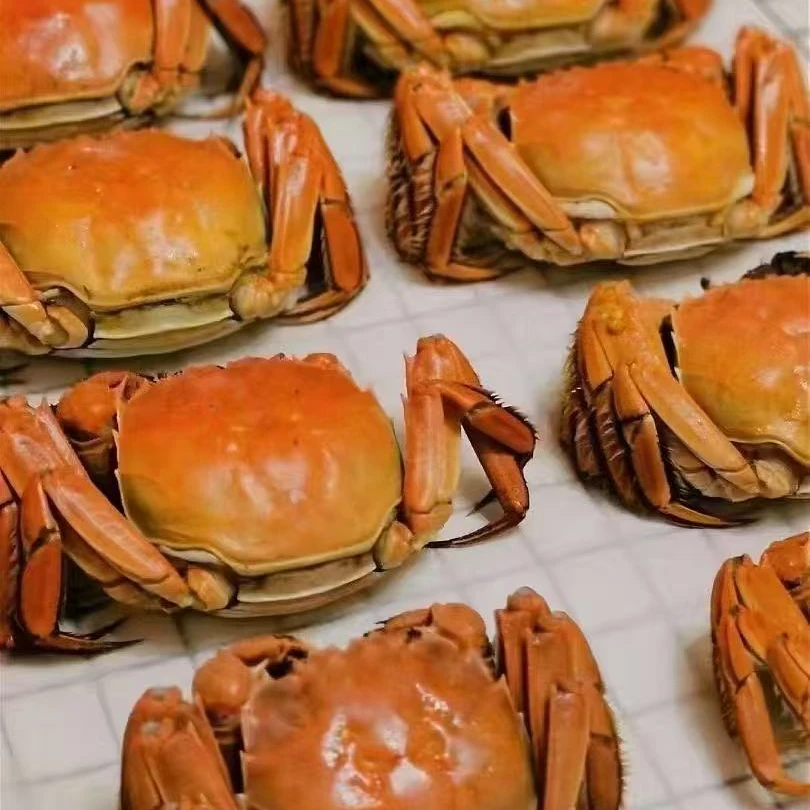 盘锦河蟹 0.8–1.0两  母蟹  3斤   顺丰发货