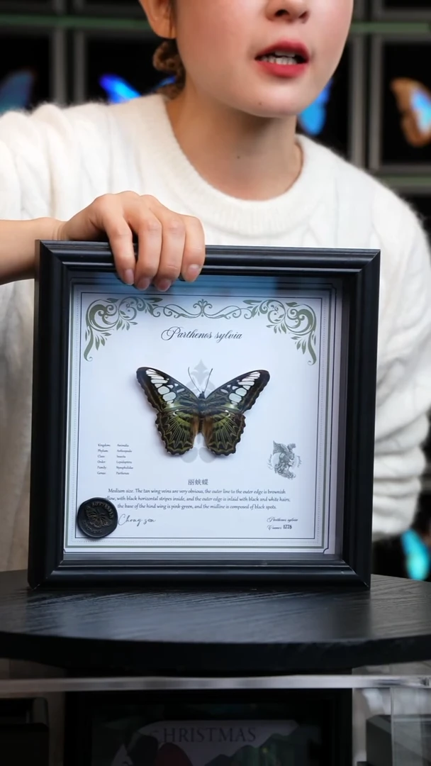 丽蛱蝶盲盒版8寸欧式方框