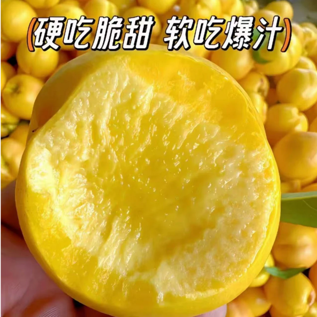 正宗蒙阴黄油桃脆甜多汁营养丰富