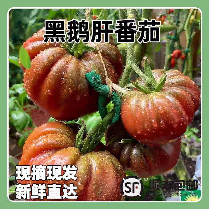 顺丰寿光黑鹅肝马蹄番茄牛心番茄沙瓤口感生吃水果花青素黑番茄