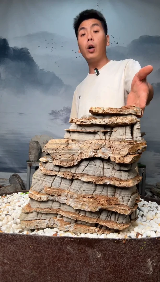直播一物一拍链接