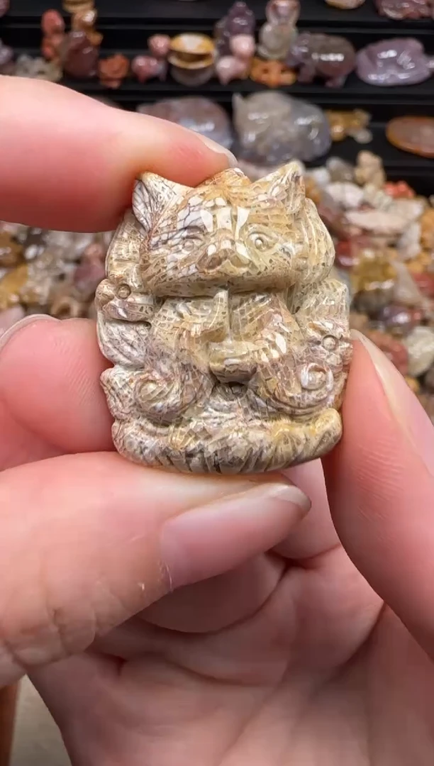 硅化珊瑚（珊瑚玉）未镶嵌颈饰225