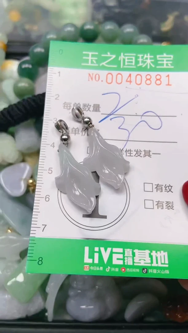 【闪购商品】翡翠颈饰未镶嵌闪购0040881