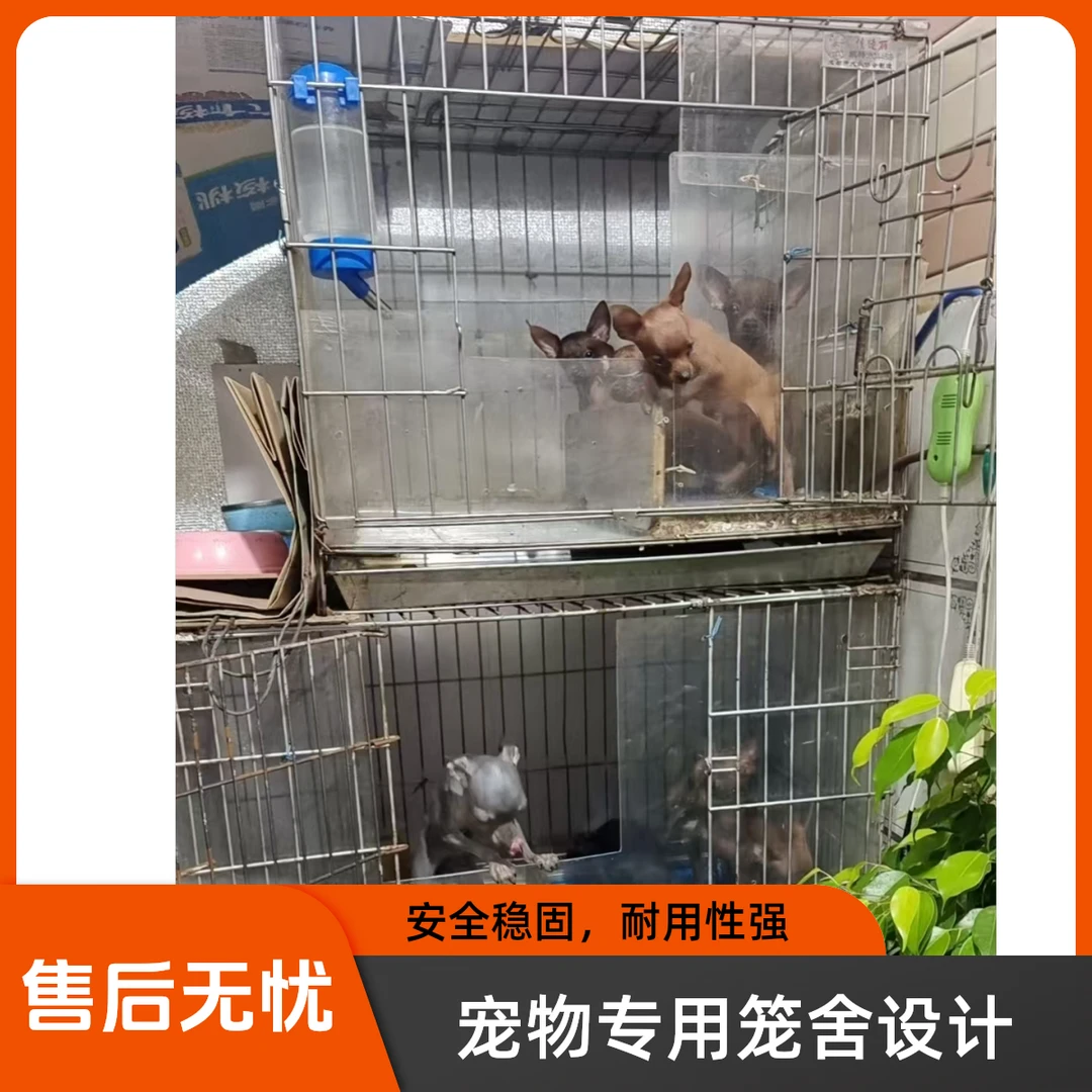 各种直播小鹿犬 笼子