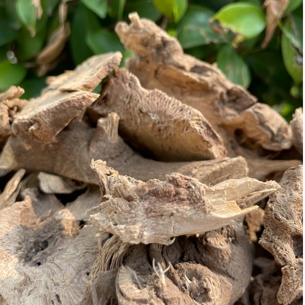 【阿海精选】土特产大嘛根