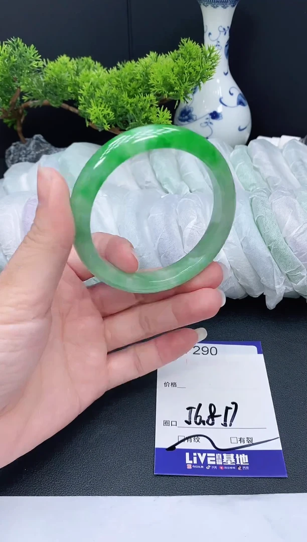 未镶嵌手镯翡翠290