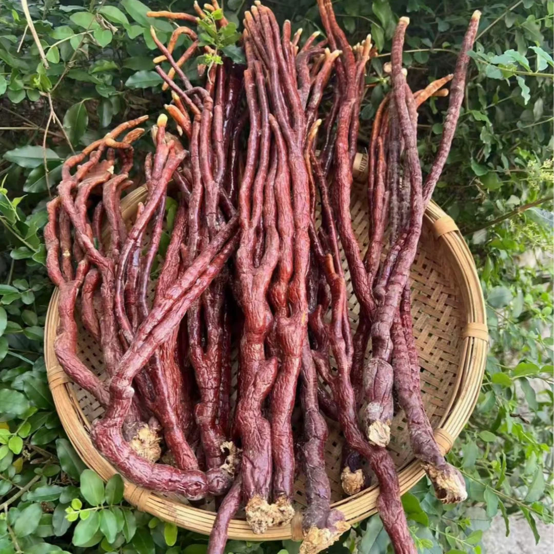 甄选特产【鹿角灵芝】500g珍藏