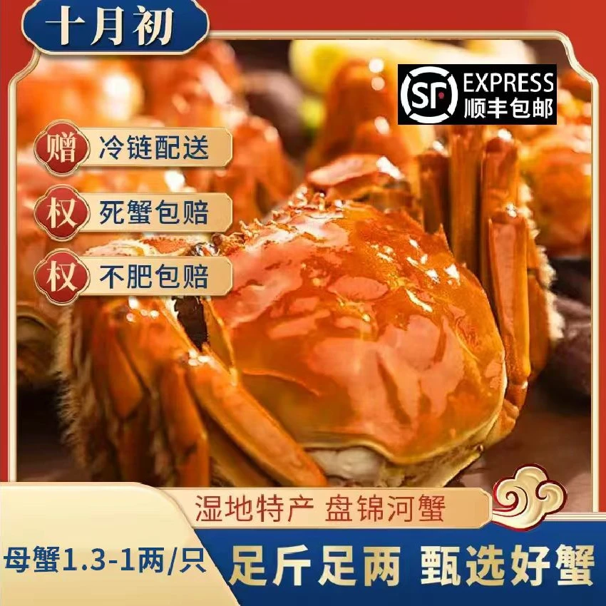 【活蟹】 盘锦稻田蟹 全母蟹1.3-1两/只 2/3斤 顺丰包邮