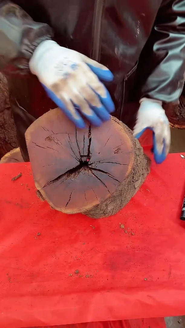 【闪购商品】枣木【57】号原木段，尺寸随行