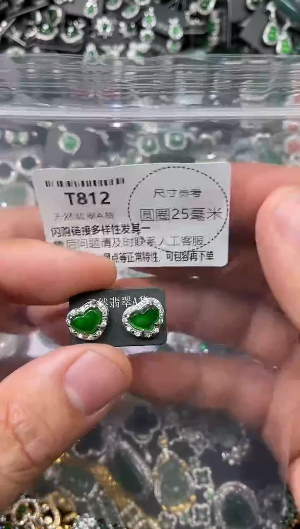 翡翠未镶嵌颈饰T812耳钉