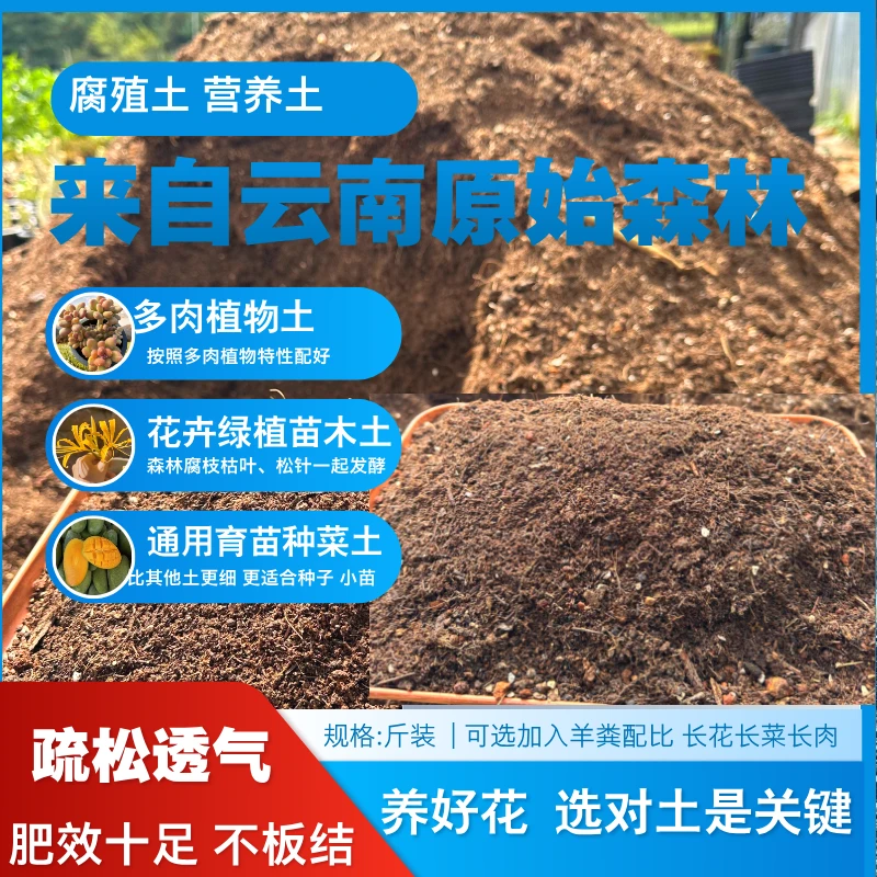 云南腐殖土 松针土 腐枝枯叶土 花卉苗木多肉种植土  山林腐殖土