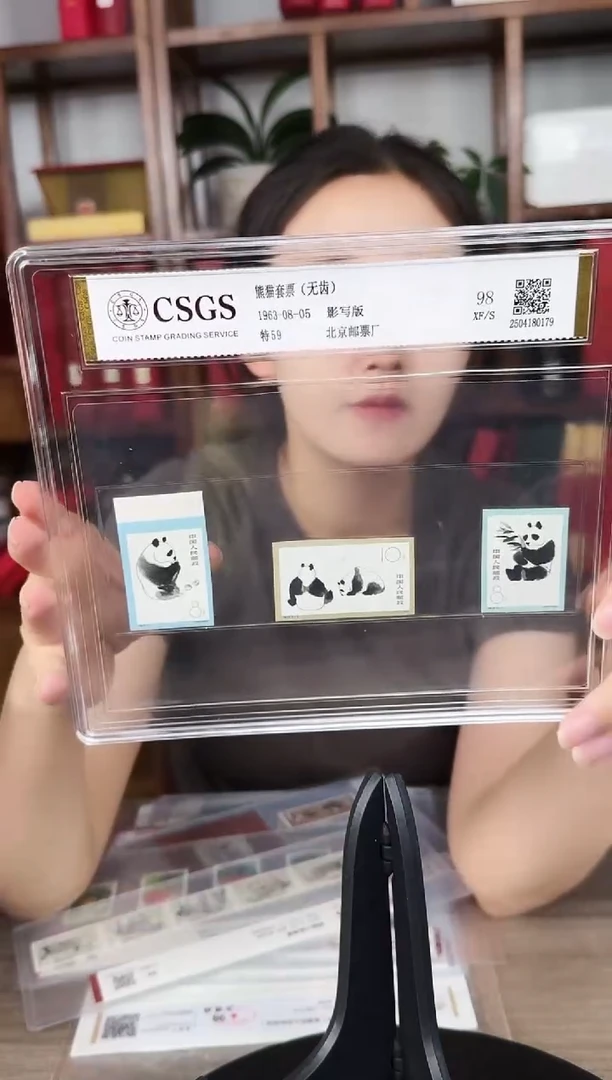 特59  熊猫  无齿 盒装