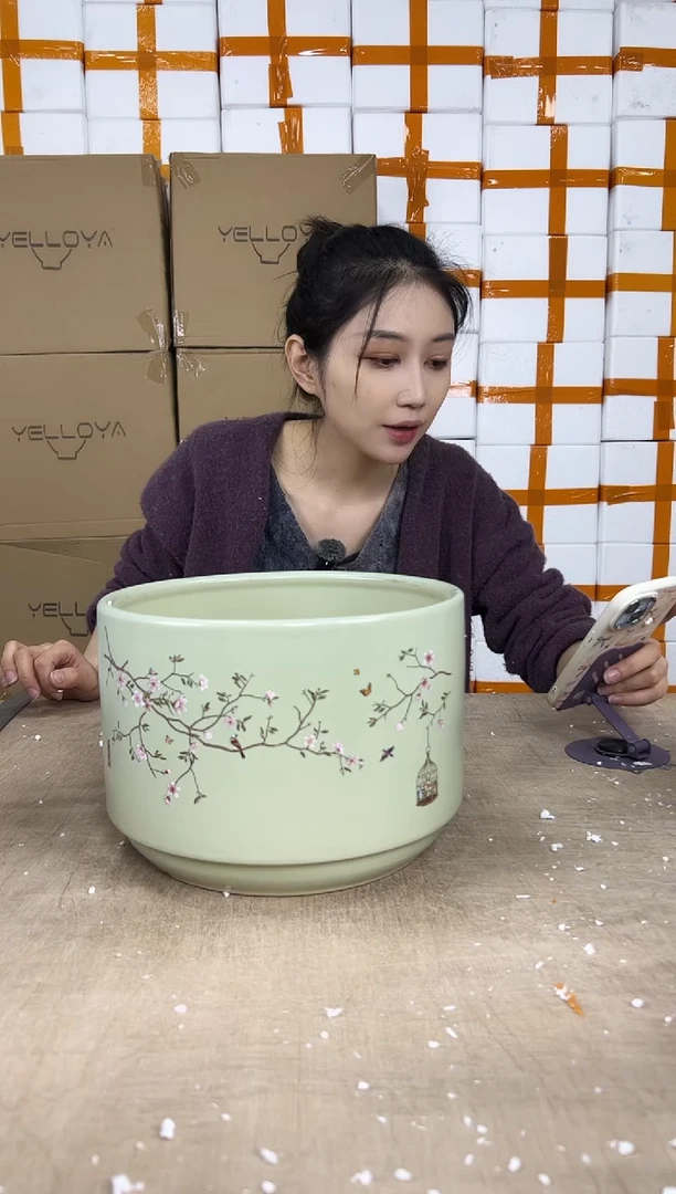 蝴蝶兰鸟笼绿色大号25x18
