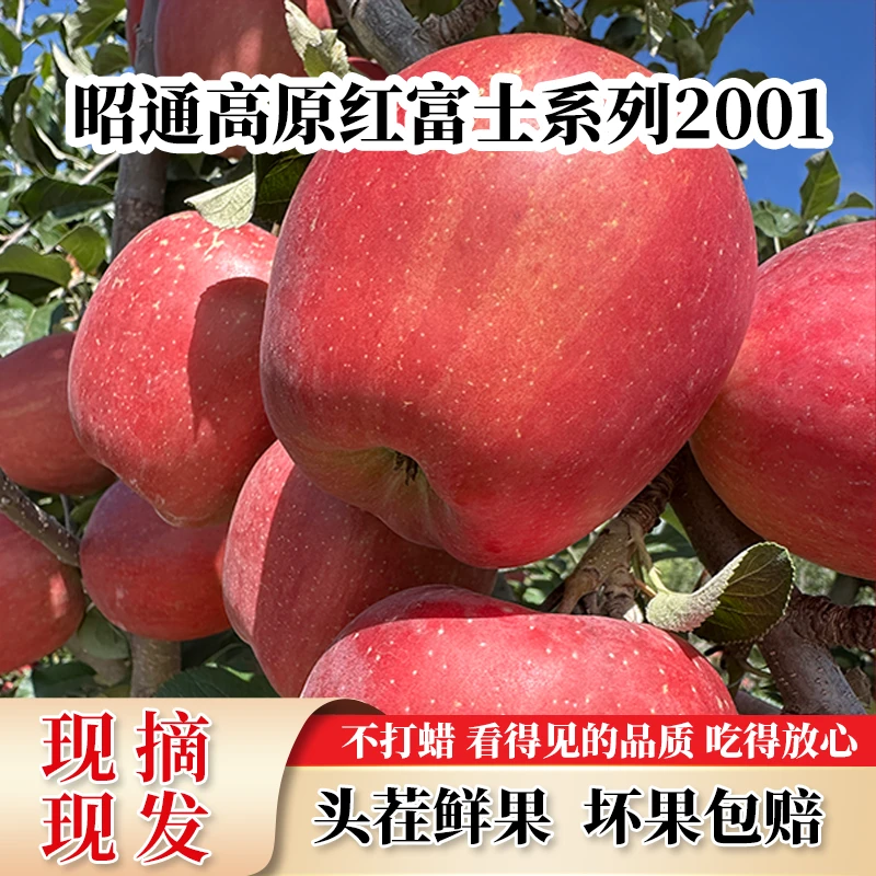 正宗昭通丑苹果2001脆甜多汁现摘现发