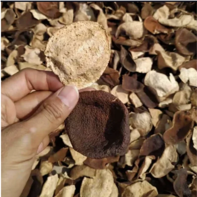 农家自卖陈皮茶花草茶陈皮干橘皮泡水泡茶