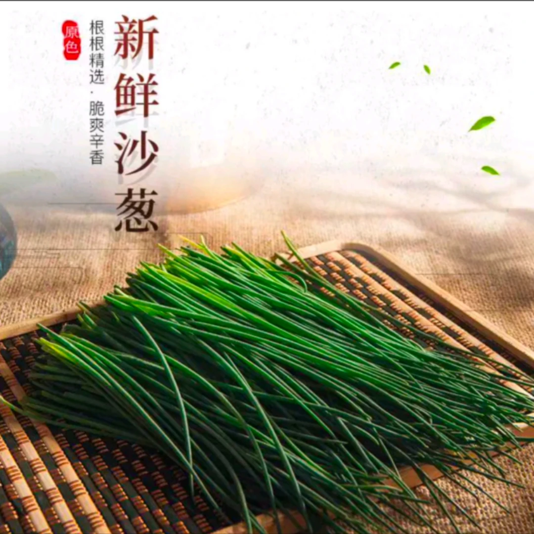 【沙葱】新鲜野生沙葱约230-250g/480-500g当季蔬菜农村正宗新鲜蔬菜绿色蔬菜纯天然无公害沙葱