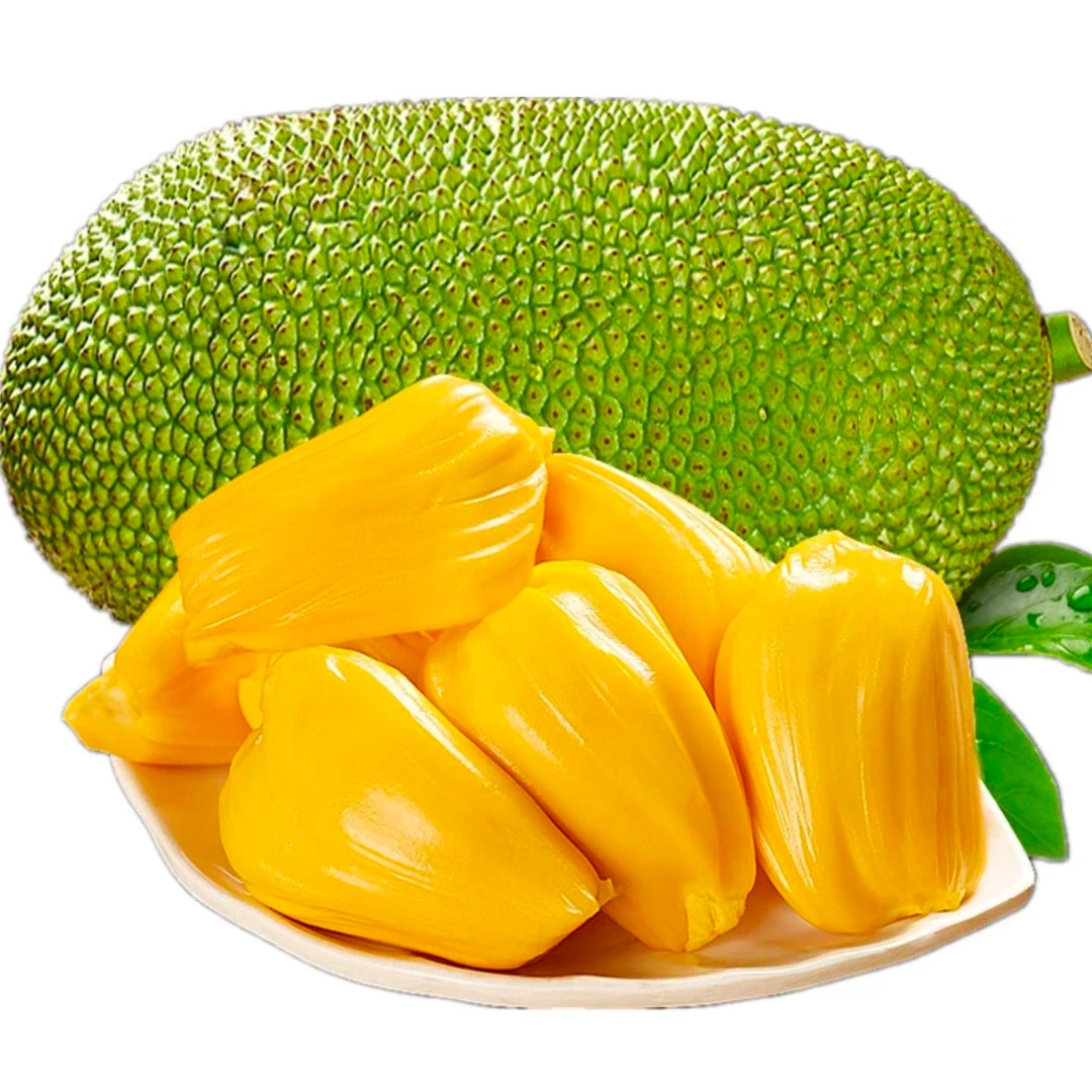【整果越南黄11-12斤内】越南黄肉波罗蜜 干苞 签收24小时内售后