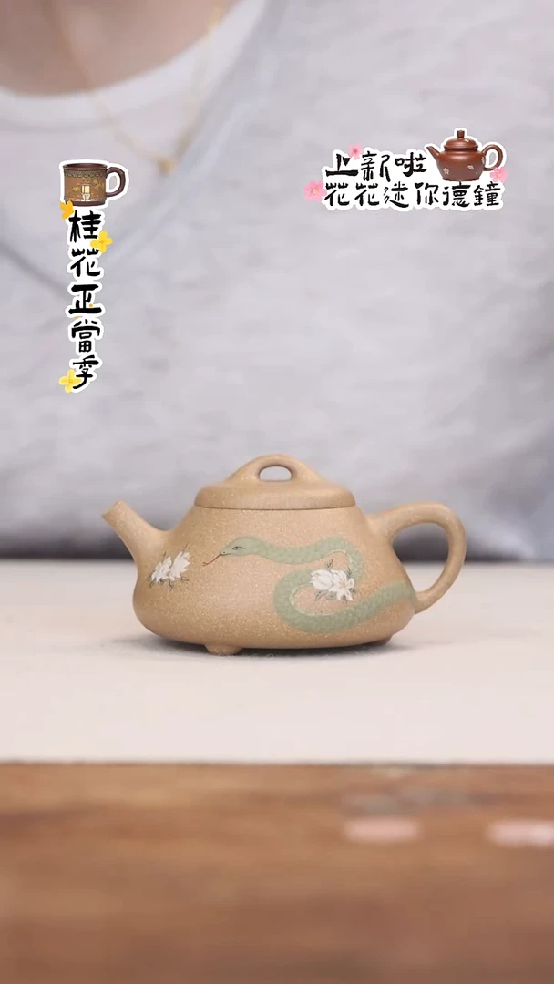 茶壶紫砂段泥茉莉青蛇石瓢