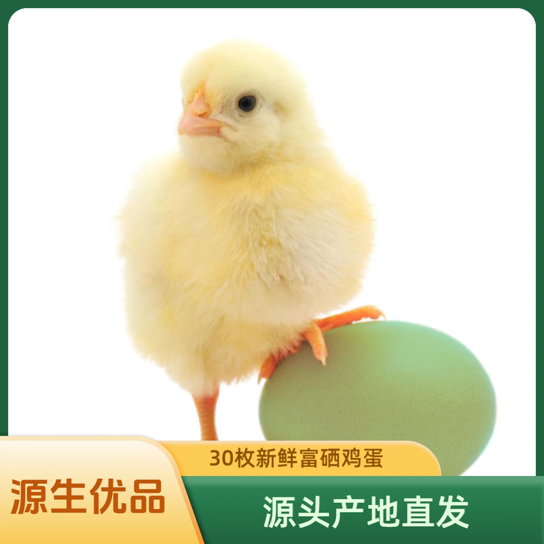 源生富硒鸡蛋（绿壳）