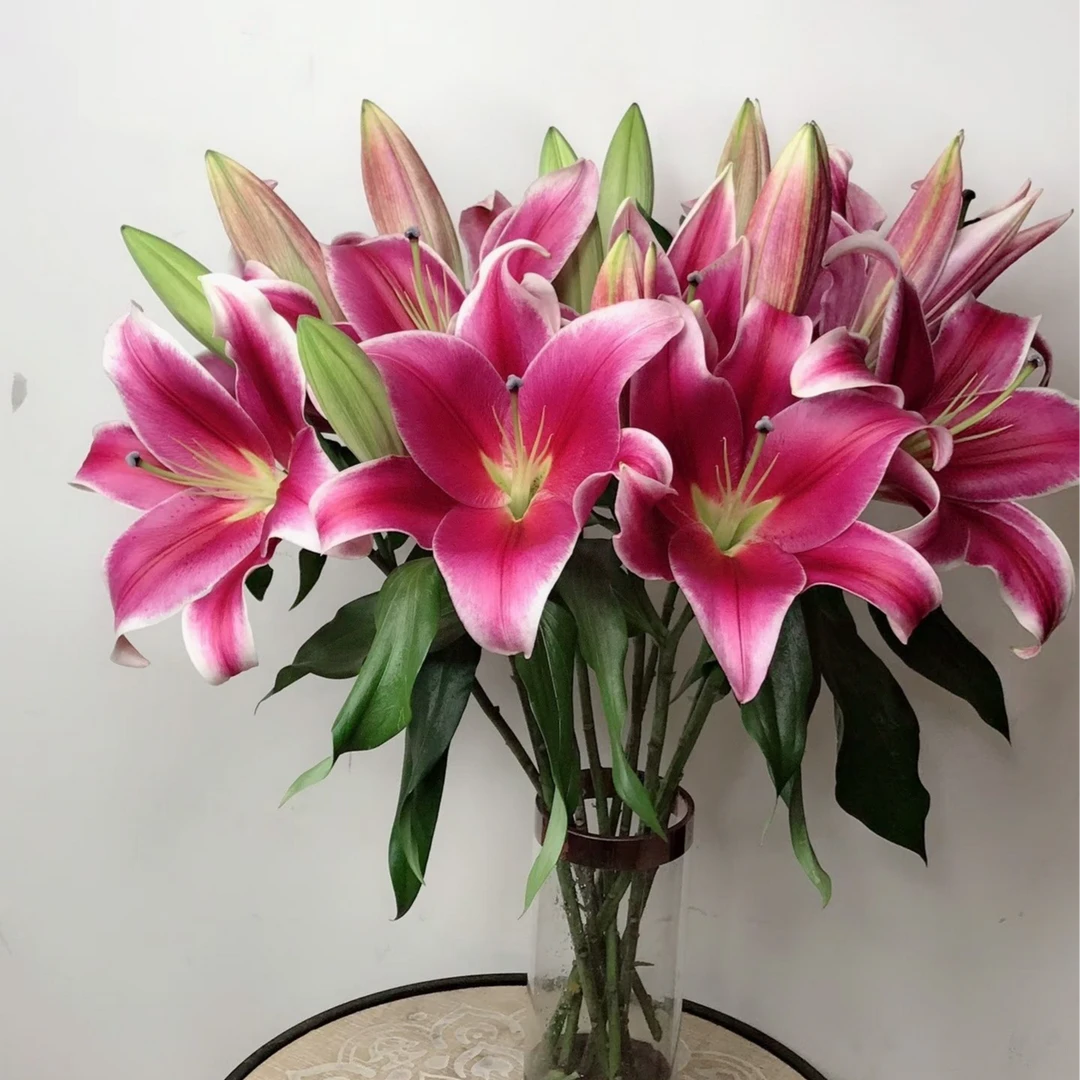 双头红福香水百合-任意两单发顺丰