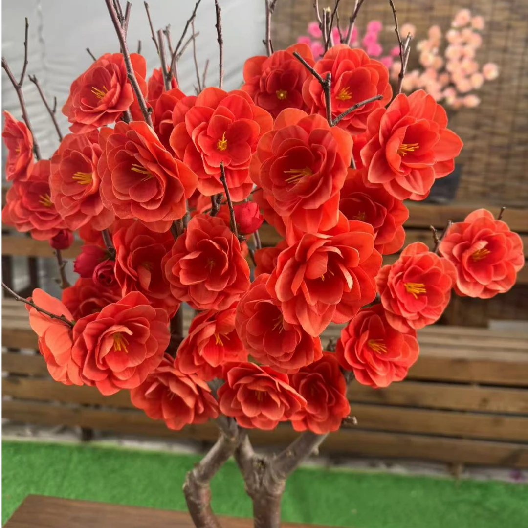 【香橙海棠】耐寒盆栽地栽都好养带花芽发货