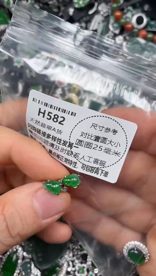 颈饰未镶嵌翡翠H582耳扣