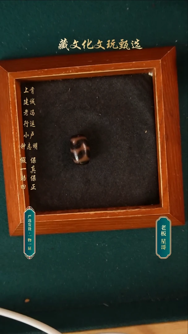 未镶嵌颈饰玛瑙/玉髓曲贡牙黄双牙牙18.9*11.3