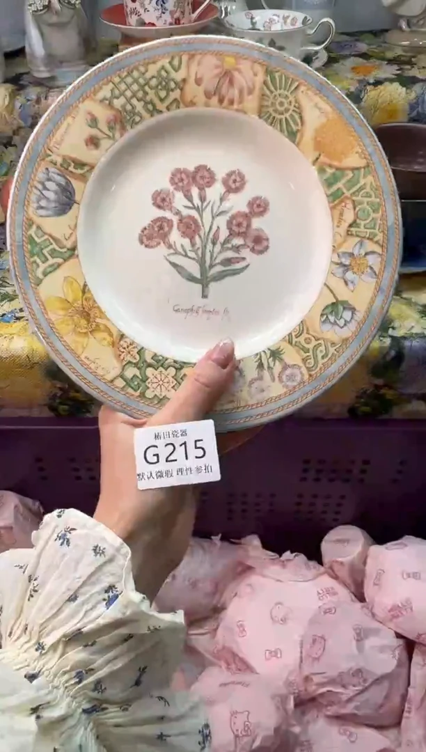 瓷片小****窝瓷片瓷片         G 215